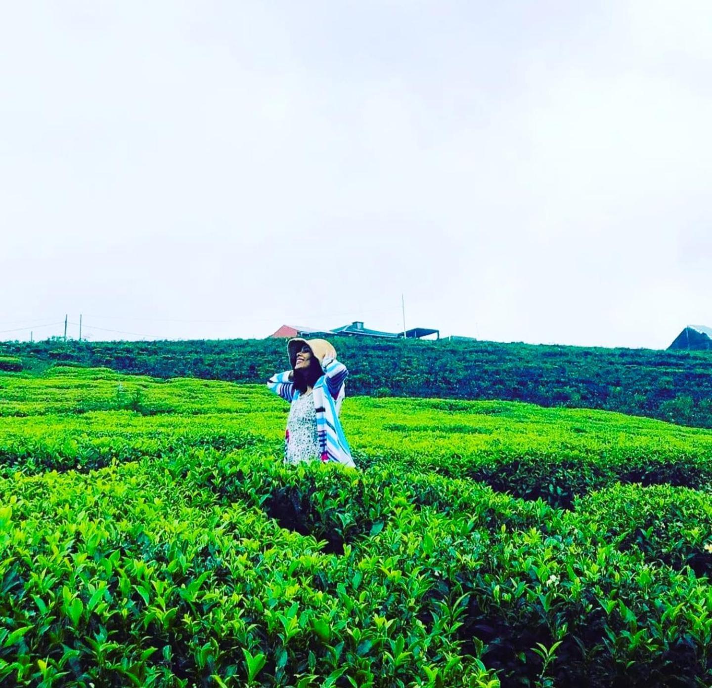 The Tea Garden Villa Nuwara Eliya Exteriör bild